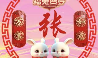 最近很火的兔子头像