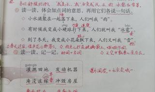 我是什么二年级语文 我是什么二年级语文